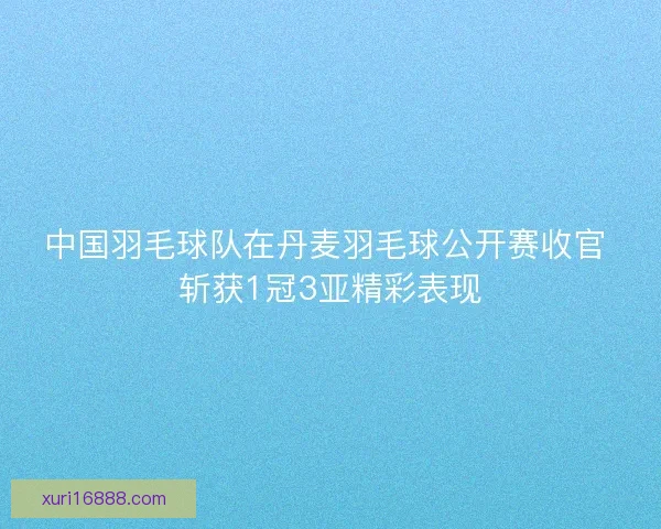 中国羽毛球队在丹麦羽毛球公开赛收官 斩获1冠3亚精彩表现