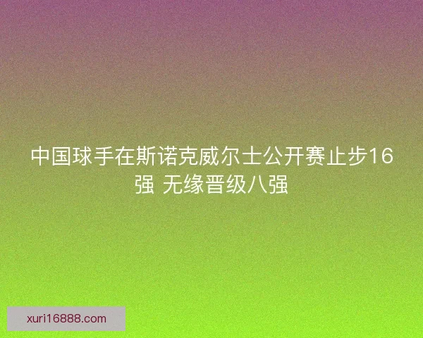 中国球手在斯诺克威尔士公开赛止步16强 无缘晋级八强